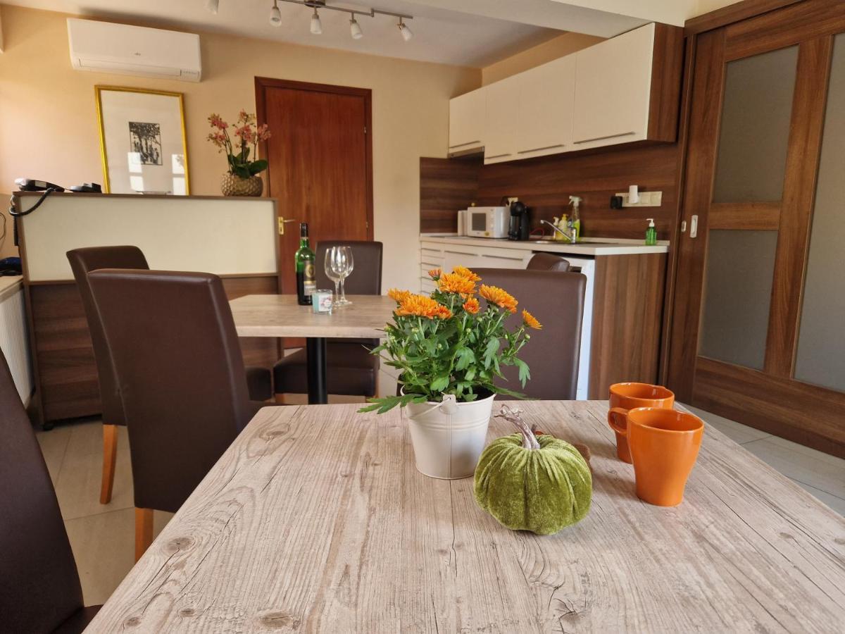 バラトンフレド Balaton Panzio Fuered Bed & Breakfast エクステリア 写真