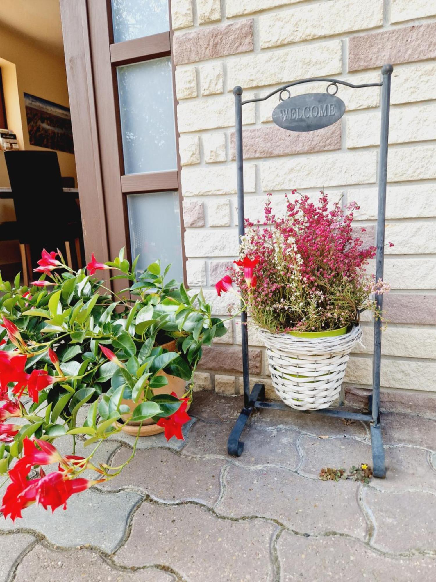 バラトンフレド Balaton Panzio Fuered Bed & Breakfast エクステリア 写真