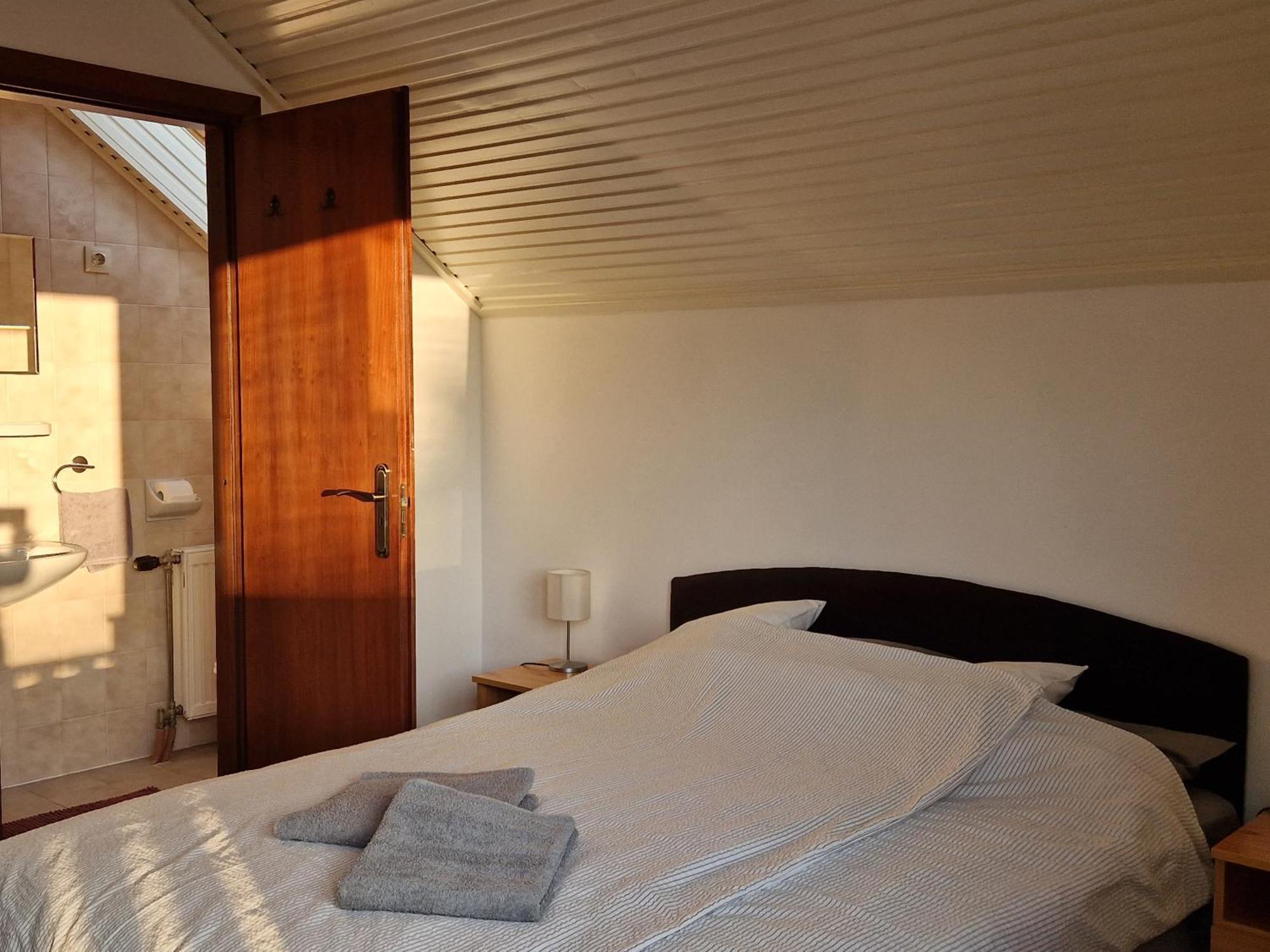 バラトンフレド Balaton Panzio Fuered Bed & Breakfast エクステリア 写真