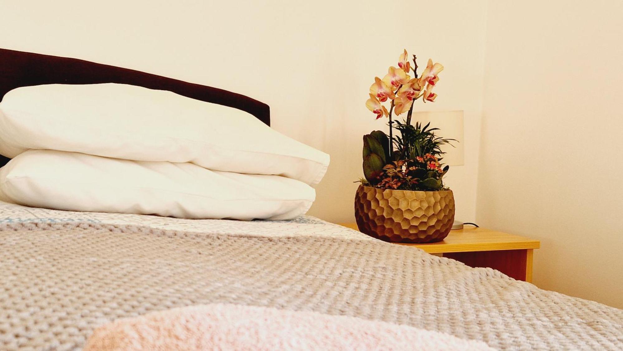 バラトンフレド Balaton Panzio Fuered Bed & Breakfast エクステリア 写真